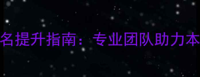 图片 深圳龙华SEO优化公司排名提升指南：专业团队助力本地精准引流与流量转化2
