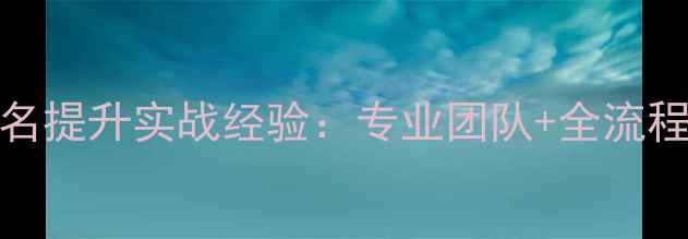 图片 深泽地区SEO优化公司排名提升实战经验：专业团队+全流程服务助力企业精准获客1