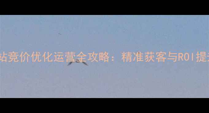 图片 清远网站竞价优化运营全攻略：精准获客与ROI提升指南2