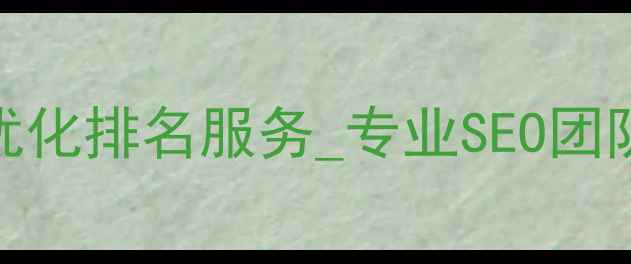 图片 滨海地区企业网站优化排名服务_专业SEO团队助力本地精准获客