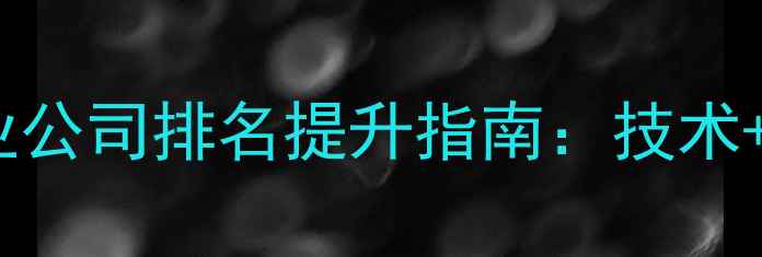 图片 潮州网站优化专业公司排名提升指南：技术+本地化双效策略2