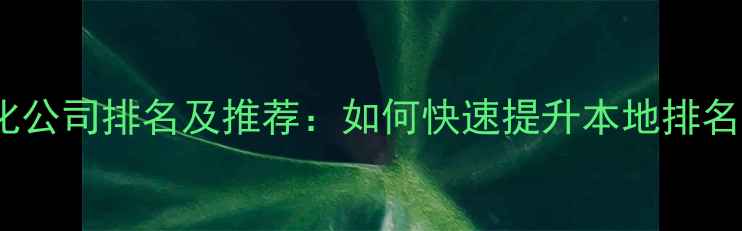 图片 潮州网站优化公司排名及推荐：如何快速提升本地排名与流量增长1
