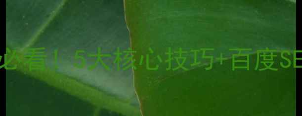 图片 电商网站优化必看！5大核心技巧+百度SEO实战指南🔥1