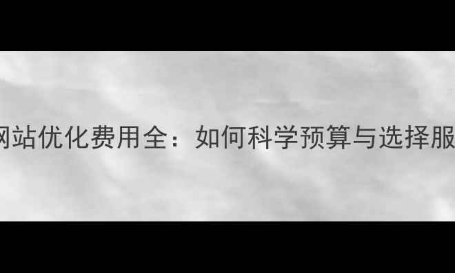 图片 电商网站优化费用全：如何科学预算与选择服务商1