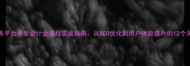 图片 电子商务平台开发设计全流程实战指南：从SEO优化到用户体验提升的12个关键策略