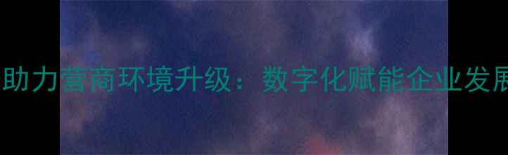 图片 番禺网站优化助力营商环境升级：数字化赋能企业发展的实战指南1