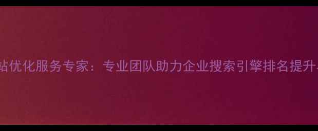 图片 白山地区网站优化服务专家：专业团队助力企业搜索引擎排名提升与流量增长1
