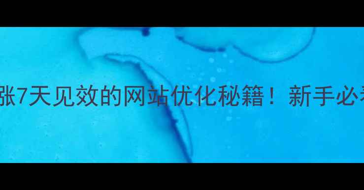 图片 百度SEO+流量暴涨7天见效的网站优化秘籍！新手必看零基础教程🔥1