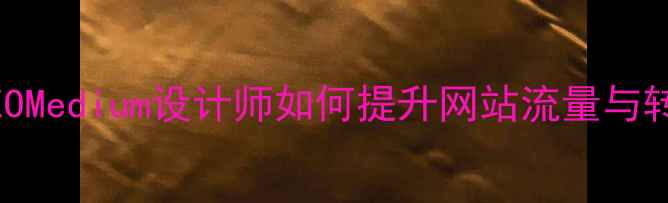 图片 百度SEOMedium设计师如何提升网站流量与转化率2