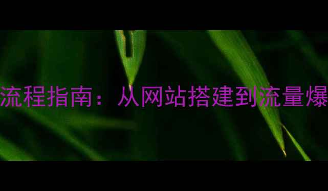 图片 百度SEO优化全流程指南：从网站搭建到流量爆增的实战手册2