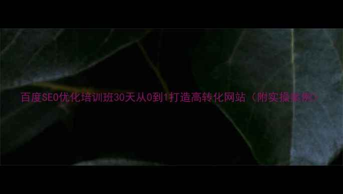 图片 百度SEO优化培训班30天从0到1打造高转化网站（附实操案例）