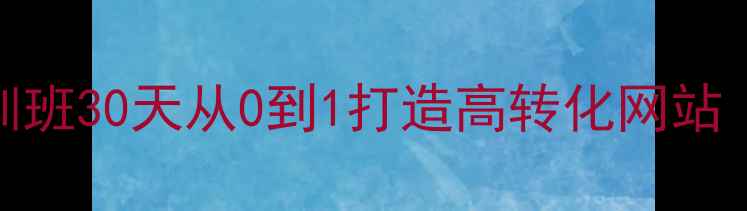 图片 百度SEO优化培训班30天从0到1打造高转化网站（附实操案例）1
