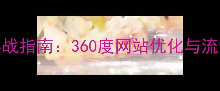 图片 百度SEO优化实战指南：360度网站优化与流量提升全攻略2