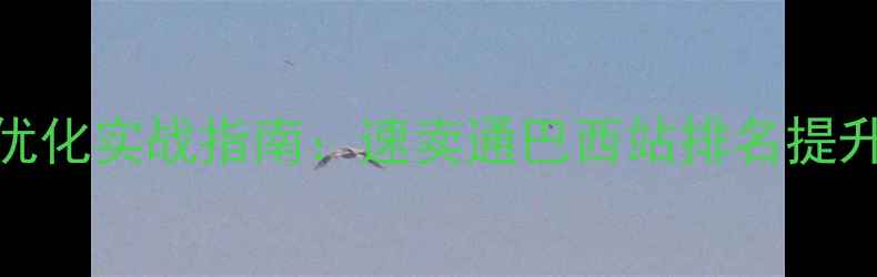 图片 百度SEO优化实战指南：速卖通巴西站排名提升全流程2