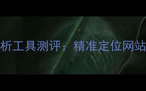 图片 百度SEO优化必备7大权威SEO分析工具测评：精准定位网站排名提升策略（含实操案例）1