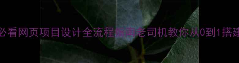 图片 百度SEO优化必看网页项目设计全流程指南老司机教你从0到1搭建高转化网站1