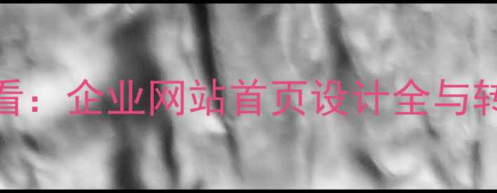 图片 百度SEO优化必看：企业网站首页设计全与转化率提升策略2