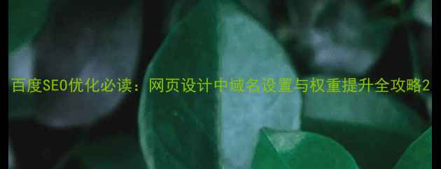 图片 百度SEO优化必读：网页设计中域名设置与权重提升全攻略2