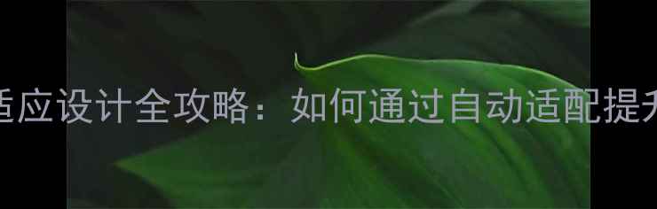 图片 百度SEO优化手机网站自适应设计全攻略：如何通过自动适配提升百度搜索排名与转化率1