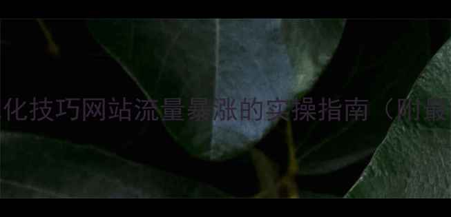 图片 百度SEO优化技巧网站流量暴涨的实操指南（附最新玩法）1