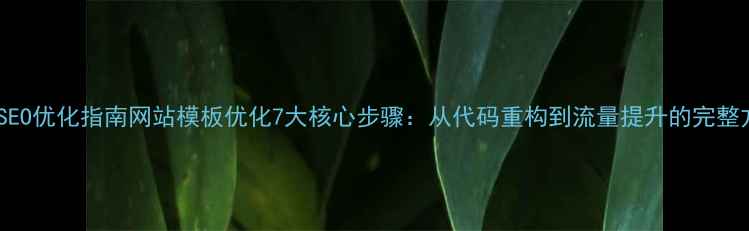 图片 百度SEO优化指南网站模板优化7大核心步骤：从代码重构到流量提升的完整方案2