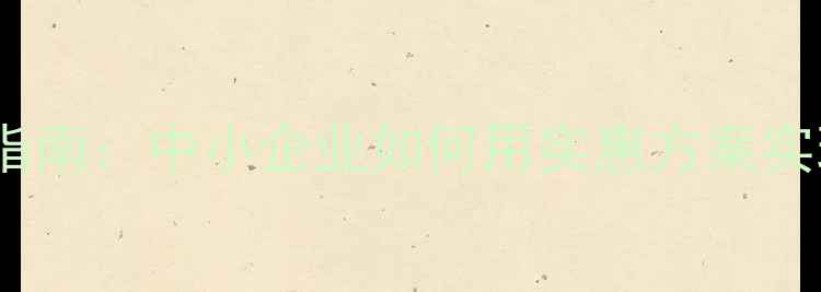 图片 百度SEO优化指南：中小企业如何用实惠方案实现霸屏排名？