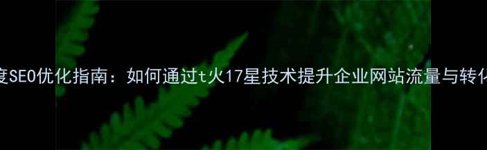 图片 百度SEO优化指南：如何通过t火17星技术提升企业网站流量与转化率