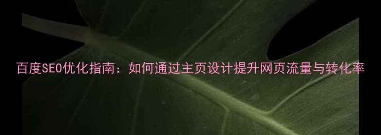 图片 百度SEO优化指南：如何通过主页设计提升网页流量与转化率