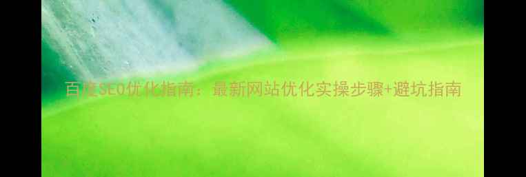 图片 百度SEO优化指南：最新网站优化实操步骤+避坑指南