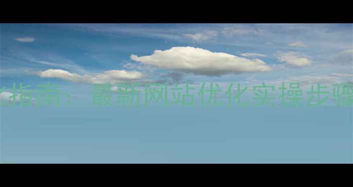 图片 百度SEO优化指南：最新网站优化实操步骤+避坑指南2