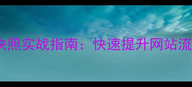 图片 百度SEO优化排名快照实战指南：快速提升网站流量的12个核心策略
