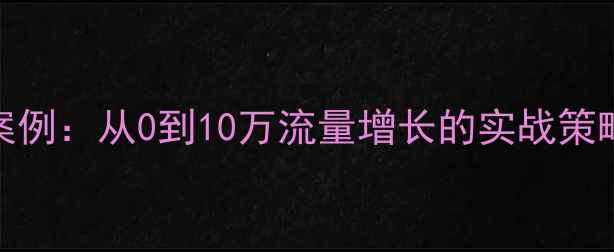 图片 百度SEO优化案例：从0到10万流量增长的实战策略与推广方法1