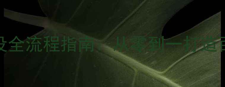 图片 百度SEO优化版小型公司网站建设全流程指南：从零到一打造百度友好型站点（附详细步骤）1