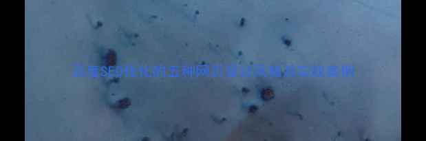 图片 百度SEO优化的五种网页设计风格及实战案例