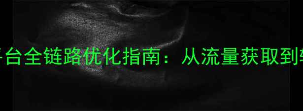 图片 百度SEO优化网站数据营销平台全链路优化指南：从流量获取到转化率提升的12个实战策略1