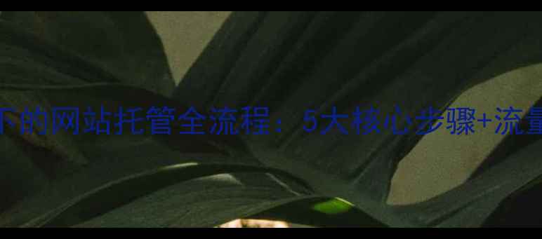 图片 百度SEO优化视角下的网站托管全流程：5大核心步骤+流量转化率提升指南2