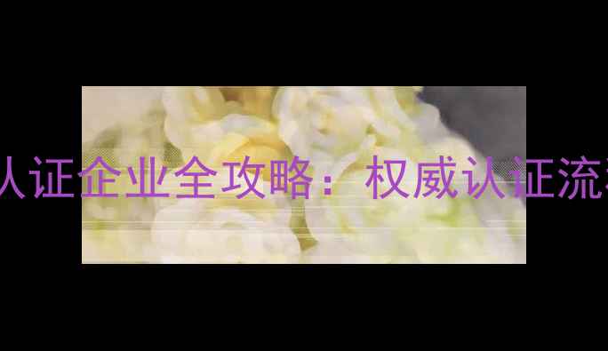 图片 百度SEO优化认证企业全攻略：权威认证流程与实操指南