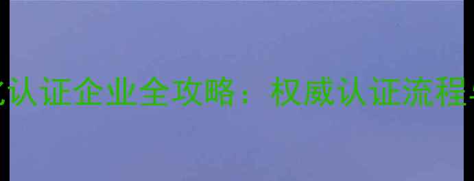 图片 百度SEO优化认证企业全攻略：权威认证流程与实操指南2
