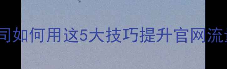 图片 百度SEO优化设计公司如何用这5大技巧提升官网流量？附实战案例拆解