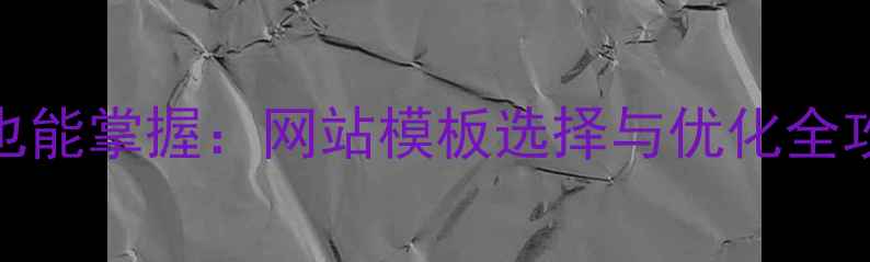 图片 百度SEO优化零基础也能掌握：网站模板选择与优化全攻略（附实战案例）1