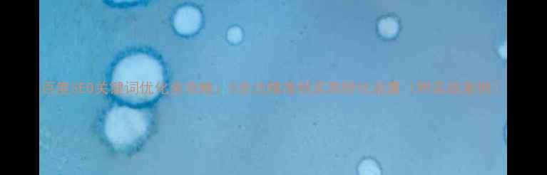 图片 百度SEO关键词优化全攻略：5步法精准锁定高转化流量（附实战案例）