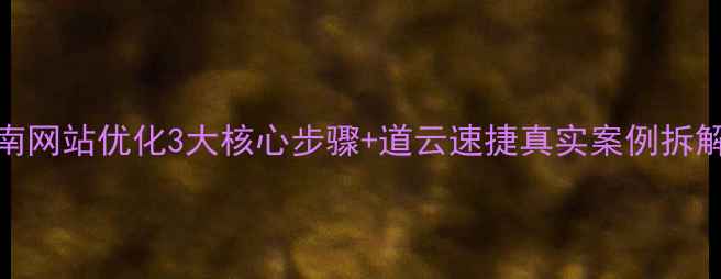 图片 百度SEO实战指南网站优化3大核心步骤+道云速捷真实案例拆解（附工具包）2