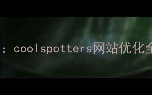 图片 百度SEO实战指南：coolspotters网站优化全流程（最新版）