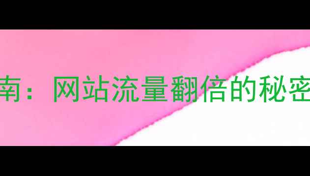 图片 百度SEO实战指南：网站流量翻倍的秘密与运营全链路2