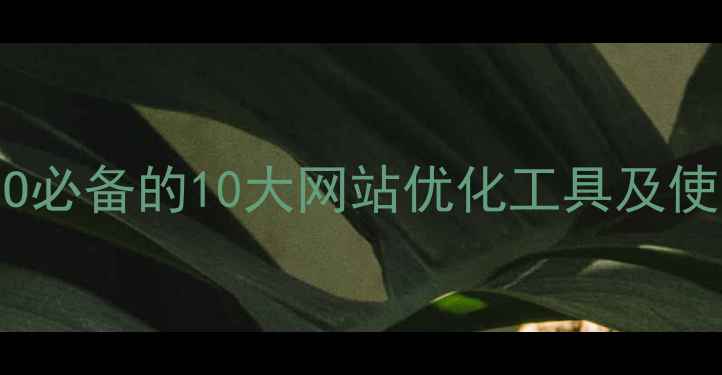 图片 百度SEO必备的10大网站优化工具及使用指南