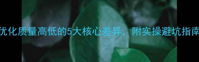 图片 百度SEO必看网站优化质量高低的5大核心差异，附实操避坑指南（附诊断工具）1