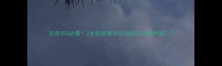 图片 百度SEO必看！3步彻底解决垃圾网页污染问题🔥2