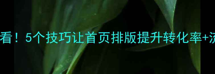 图片 百度SEO必看！5个技巧让首页排版提升转化率+流量暴涨🔥