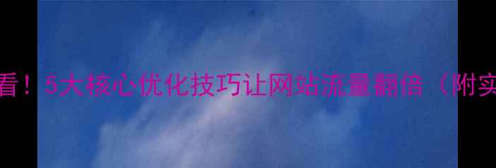 图片 百度SEO必看！5大核心优化技巧让网站流量翻倍（附实操案例）2