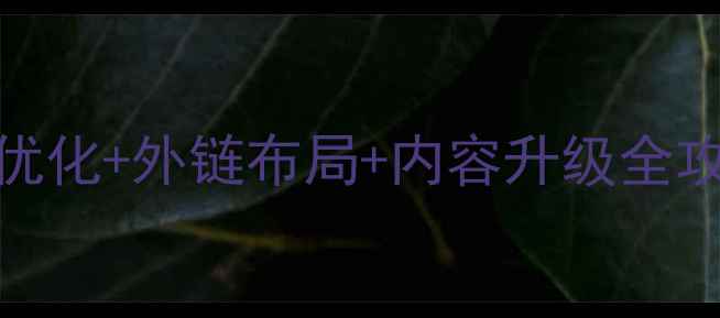 图片 百度SEO必看！头部优化+外链布局+内容升级全攻略（附实操模板）1